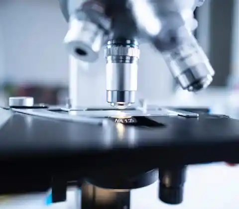 Amostra De Dna