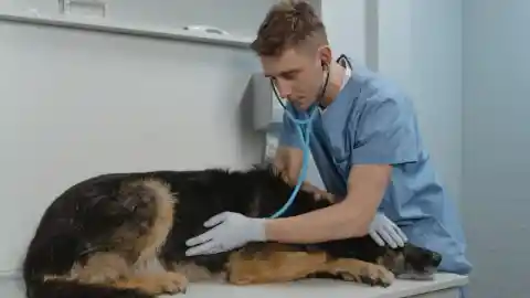 Careful Examination