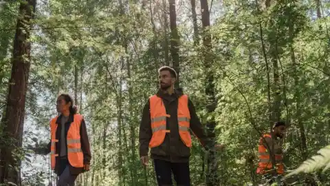Something Wrong