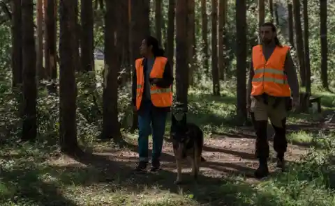 Scouring The Forest 