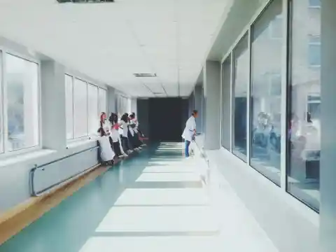 Haciéndoles Compañía