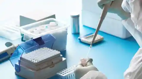 El plan de la prueba de ADN