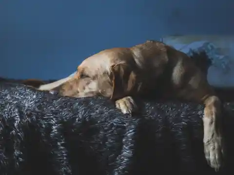 Olhando Para A Cama Dela