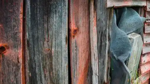 Sin palabras