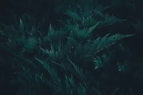 Drohungen