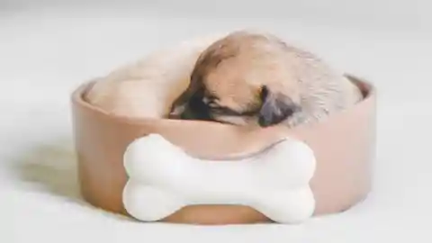 Una Cosa Tierna