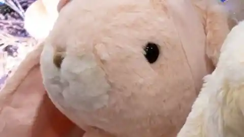 Un peluche