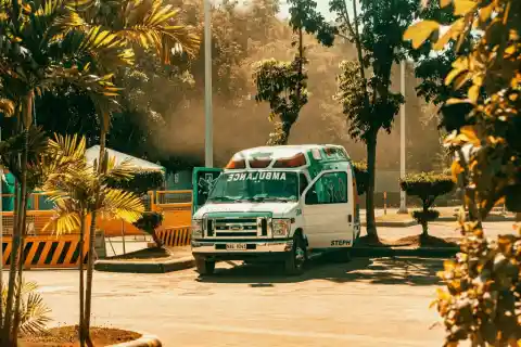 Eles vieram para ajudar