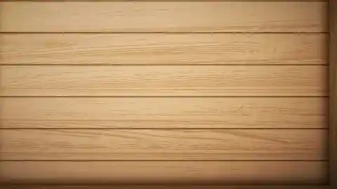 Era ligera