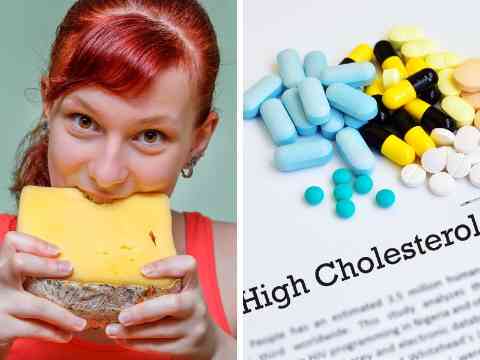 Understanding Cholesterol And Its Sources