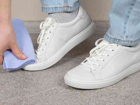 Gather The Necessary Supplies