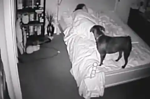 Every Night