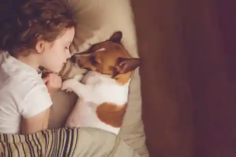 Me Quiere, Mamá