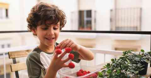 Childhood Calories Mostly from Ultra-Processed Foods: MAHA Report