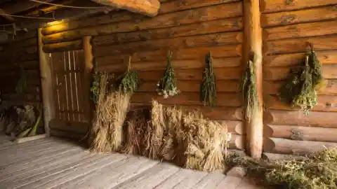 Escritos De Un Loco
