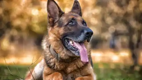 Major