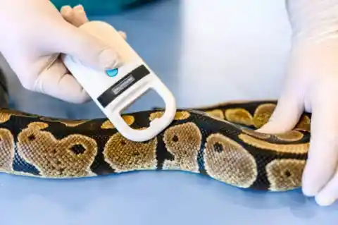 Ask The Professional