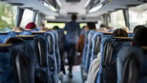 Busy Bus
