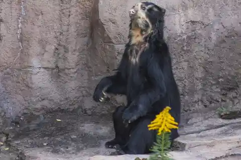 National Geographic