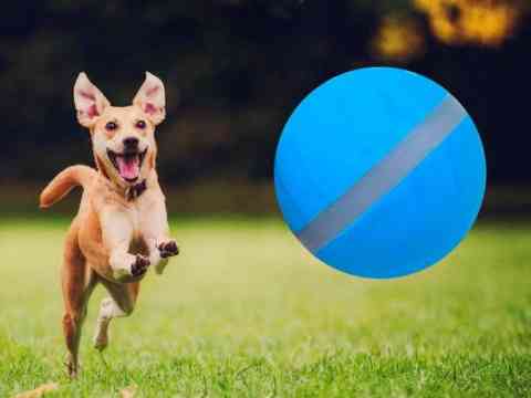 Peppy Pet Ball – The “Smart” Ball That Keeps Your Dog Engaged, Entertained, and Happy