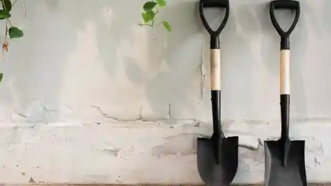 Algo Más Grande