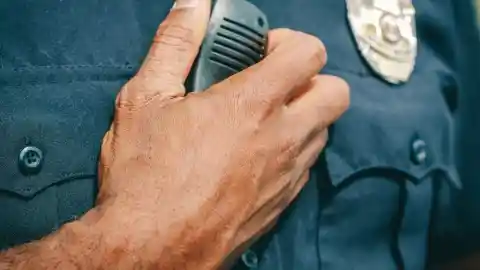 Close To The Chest