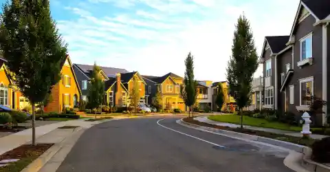In Her Neighborhood