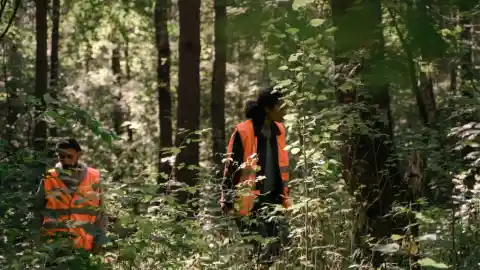 Going Back To The Search Party