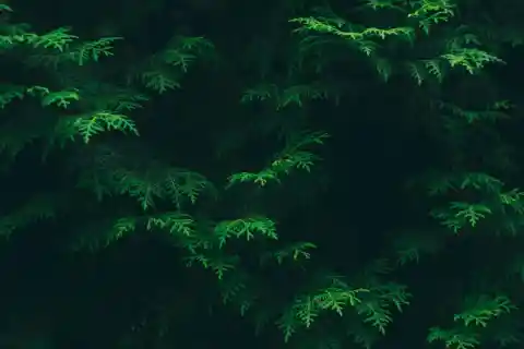 Approaching Them