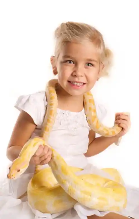 A Better Snake