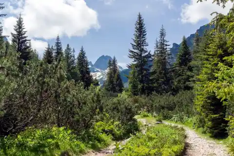 Auf Dem Weg Zu Seinem Lieblingsplatz