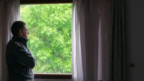 At The Window