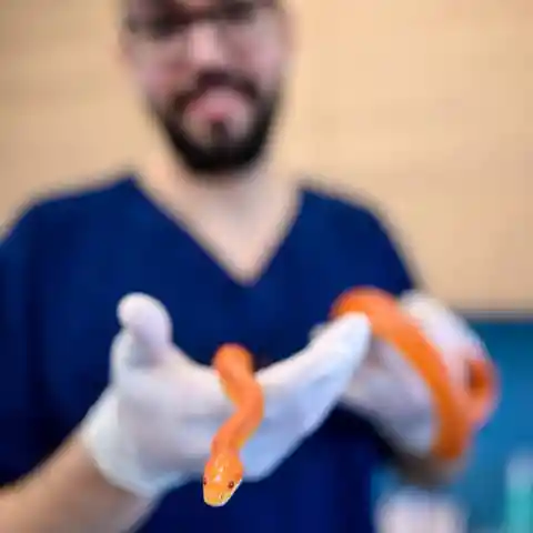 A Slow Recovery