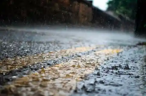 Walking In The Rain