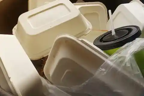 Something In The Trash