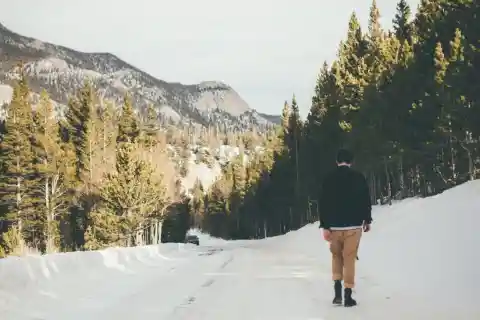 Wolves