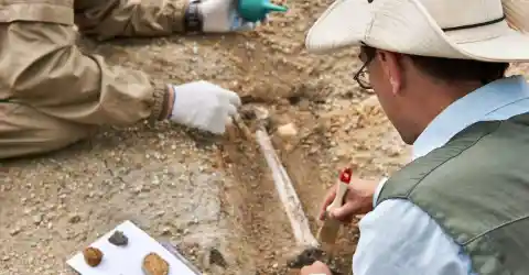 Marrow Extraction Techniques