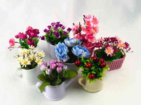 Smell Shoes Just Need Salt