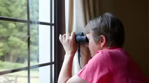 Nosy Neighbors