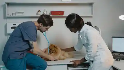 Testes Intermináveis