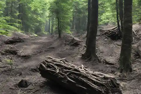 Die Entdeckung Von Etwas