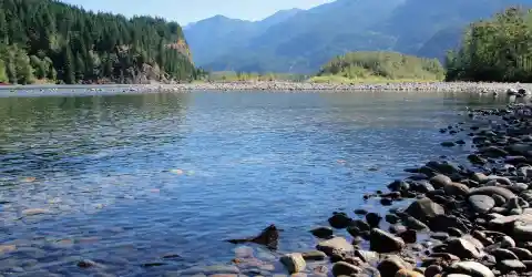 The Ancient River Life