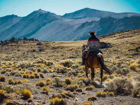 Magical Markets & Cultural Extravaganzas