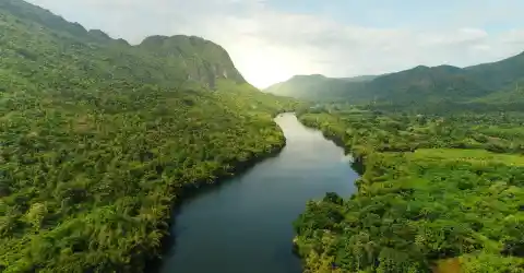 Life on the Riverbanks